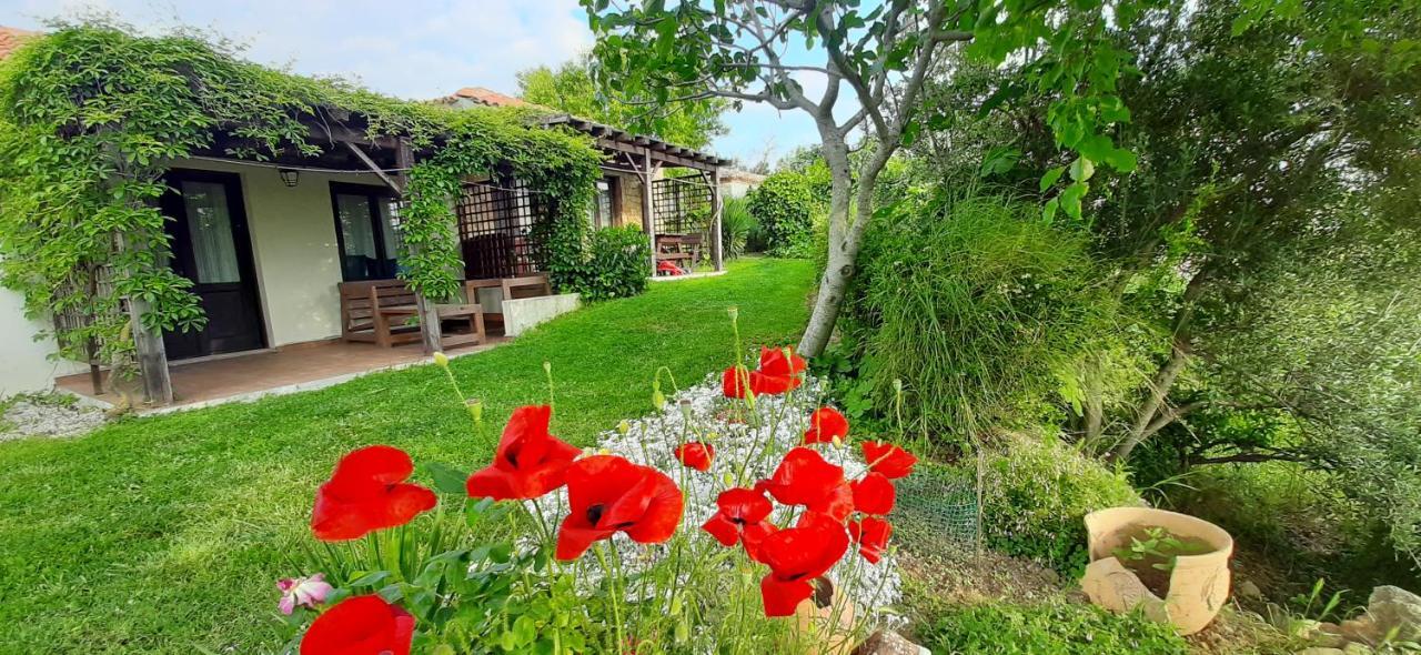 The Gallipoli Houses Eceabat Exteriör bild